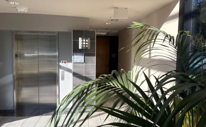 rice chiropractic and wellness office